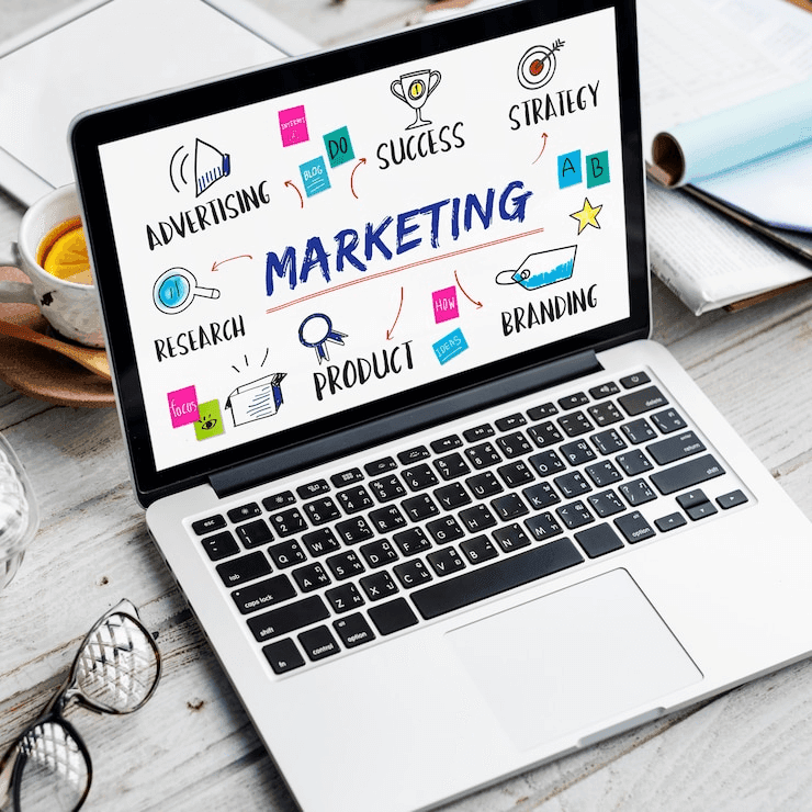 Digital marketing expert analyzing campaign data for a Saudi business